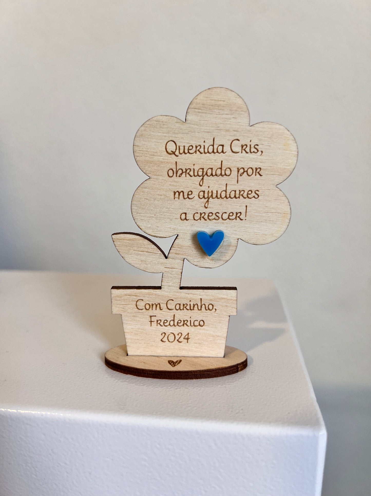 Lembrança de final de ano letivo